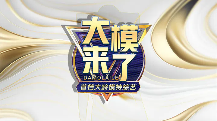 【大陆综艺】大模来了